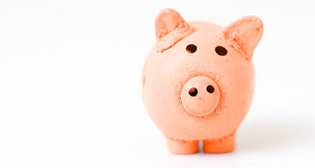 QUT and UQ special Iglu