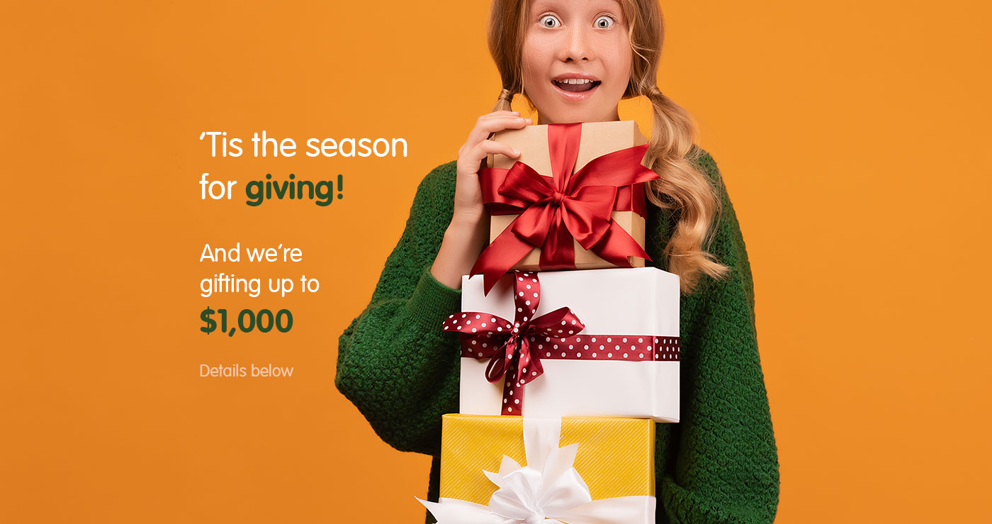 Iglu Flagstaff Gardens Xmas Banner