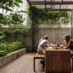 A group of four students studying in an external courtyard at Iglu Brisbane City, framed by tropical trees and trailing plants depicting eco-friendly student accommodation.